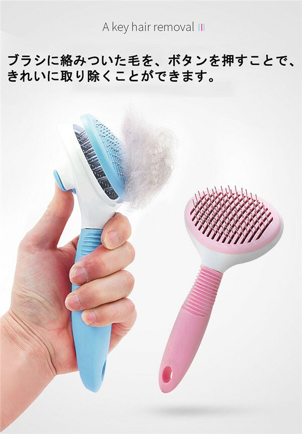 �ڥå��� �֥饷 �ڥåȥ֥饷 �� ǭ �ڥå� �֥饷 �Ӽ�� �� ȴ����ȴ�� �Ӷ̽��� �֥롼 �ԥ� ���졼k2004d3d3f4