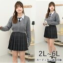 大きいサイズ スカート単品 スクールスカート 制服 プリーツスカート スカート 丈42cm 丈46cm チェック柄 ミニスカート 学生服 女子高生 卒業式 入学...