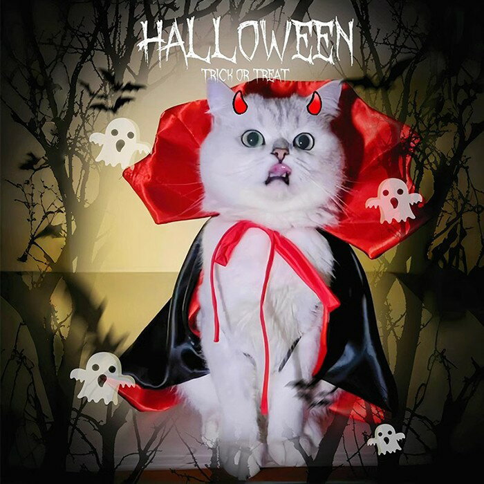 �ϥ������� ǭ ǭ�� ���� �۷쵴 ������ѥ����ޥ�� �ޥ��å��ޥ�� �ڥå��� ���淿 ���襤�� ������� �ͤ� ������ ����åȥ����� �ϥ������󥳥��ץ� mj004j5j5m3