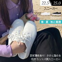 スニーカー レディース 白 スニーカー韓国風 レースアップ 薄底 ホワイト ブラック シンプル 美脚 通学 通勤 春 夏 秋 22.5 23.0 23.5 24.0 24.5 25.0 ローカット おしゃれ 靴 di057m3