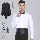 メンズ ダンスシャツ カッコイイ ラテン ワルツ チャチャチャ ルンバ メンズ トップス 練習着 競技着 コンクール 上着 長袖 ダンスウェア ステージ 演出 ...
