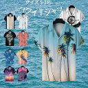 Tシャツ メンズ 半袖 メンズファッション ワイTシャツ 海サンディービーチ S M L XL 2XL 3XL 夏 dk002x5x5x1