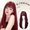 ウィッグ ロング ストレート レディース フルウィッグ ワインレッド 前髪あり ぱっつん 自然 ナチュラル 原宿風 おしゃれ かわいい 普段使い 学園祭 コスプレ ハロウィン 舞台 ステージ 撮影 文化祭 イベント 成人式 パーティー ロングウィッグ 小顔効果 学芸会 dp054z7z7x1