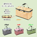 保冷バッグ クーラーボックス お弁当 大容量 約28L エコバッグ 大き目 ランチバッグ レジャー 保温バッグ おしゃれ お弁当用 水筒が入る 広いマチ付き 折...