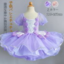 子供バレエ 舞台衣装 キッズ ダンス衣装 新体操 女の子 子ども バレエ発表会 バレエ形体服 練習着 演出用 バレエチュチュ 半袖 春 夏 秋 お洒落 ダンス服...