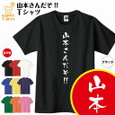 【おもしろ tシャツ】山本さんだぞ！ Tシャツ | S M L XL 3L 4L ティーシャツ ティシャツ tシャツ 半袖 男性 女性 メンズ レディース 文字 tシャツ 名前Tシャツ 漢字 tシャツ おしゃれ 誕生日プレゼント ギフト プチギフト 贈り物 ネタTシャツ 面白Tシャツ