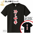 おもしろ tシャツ 冷し中華 ドライ Tシャツ | ラーメン らーめん 拉麺 ティーシャツ ティシャツ 半袖 男性 女性 メンズ レディース 誕生日 バースデー プレゼント ギフト プチギフト 部屋着 チーム 仲間 スタッフ パロディ 面白 吸汗速乾 ネタ ハッピーTシャツ オリジナル