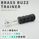 ■ホルン奏者向けのマウスピース練習サポート器具が登場！ 初心者から上級者まで。 ホルン用のマウスピース練習サポート器具が登場。 ポケットにも入るサイズで、楽器ケースに忍ばせておけば日々のウォームアップ、マウスピースバズィングのクオリティが格段に向上します。 底面のキャップにより段階に抵抗を変えることができ、抵抗フリーに近い状態からご自身の楽器に近い抵抗まで再現することができます。 ★マウスピースは付属しておりません。 【商品詳細】 ●品名　ブラスバズトレーナー(ホルン用) ●サイズ　直径25.5mm×高さ65mm ●材質　光硬化性樹脂 ●メーカー　BRASS DESIGN(ブラスデザイン) ●製造国　日本 ※3Dプリンタで作られている性質上、キズや気泡、変色のように見える場合がございますが、品質には問題ございませんので、あらかじめご了承ください。 ※高温・多湿・直射日光の当たる場所で保管しないでください。割れや欠けが生じる恐れがあります。 商品は、ヤマト運輸の宅急便で送付させていただきます。 ※北海道・沖縄県のみ定形外郵便で発送 ■抵抗を変えて、楽器の吹奏感を再現できるバズィング練習器具 ブラスデザインのバズトレーナーは、底面のキャップをひねることにより無段階に吹奏時の抵抗を変更することができます。自分の楽器の抵抗に近い状態を再現して、バズィング練習することでより練習のクオリティが高まります。 また、抵抗を強くすることにより、消音効果も得ることができます。本番直前の舞台裏でのウォームアップや、家での練習にも最適です。 ■手のひらに収まるサイズで、どこにでも持ち歩ける。 直径25.5mm× 高さ65mm の超コンパクト設計で、楽器ケース、ポケットなどどこにでも入れることができます。外出先でのちょっとした練習や、家での練習など、いつでも気軽にバズィング練習に取り組むことができます。