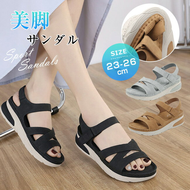 ̵  ǥ  ݡĥ 4cm 쥵 ߤ   ⤭䤹 ˡ 礭 ե...