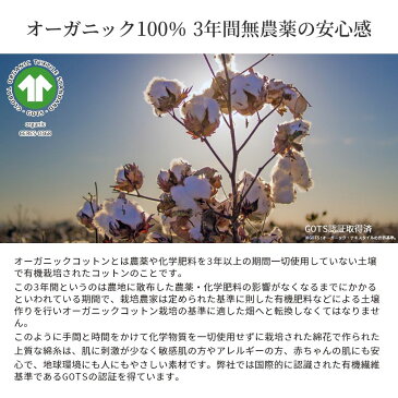 【arbol】GOTS認証 オーガニック FLUFFY TOWL バスタオル オーガニックコットン100% 両面ロングパイル ふわふわ HAPTIC ハプティック 敬老の日