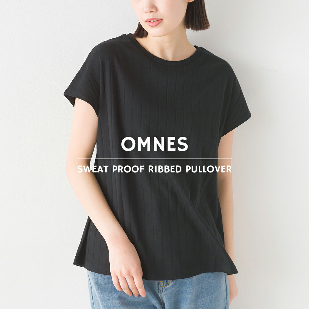 【OMNES Another Edition】汗じみ防止 リブプルオーバー レディース カットソー フリーサイズ カジュアル 汗染み防止加工 リブ編み インナー HAPTIC ハプティック 母の日のサムネイル
