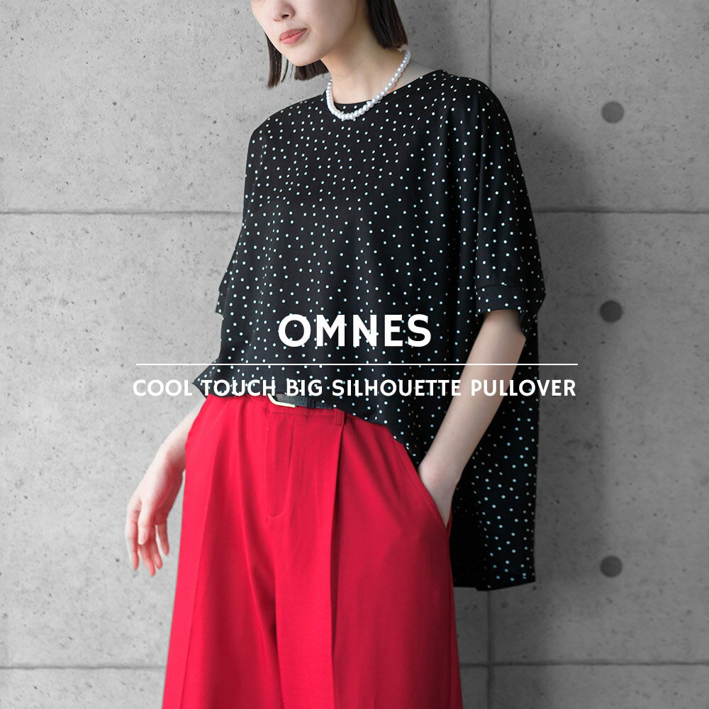 【OMNES】接触冷感レーヨンナイロンBIGシルエットプルオーバー 半袖 Tシャツ レディース フリーサイズ ビッグTシャツ カジュアル ナチュラル シンプル HAPTIC ハプティックのサムネイル