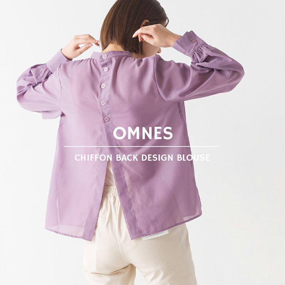 【ハプティックhbC】【OMNES Supremo】ニュアンスカラーシアー 後ろデザインブラウス レディース フリーサイズ きれいめ ギャザースタンドカラー HAPTIC ハプティック 母の日のサムネイル