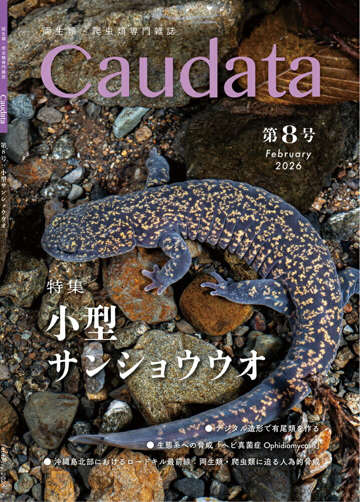 製品画像：21位