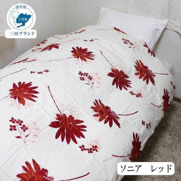 �ڡ������ѡ�SAIL������ȥ꡼��P����47�ܡ��� �ݤ����� ���С� ���󥰥� ������ſ������� ��100�� 150��210 ���󥰥� �����դȤ󥫥С� ���ϥ֥��� ������ ���٤�4�ѥ�����