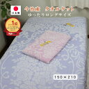 【48時間限定●P10倍】 タオルケット