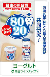 らくれん 8020ヨーグルト110g 24個 ＋ 8020ドリンク110ml 24本 セット商品 なんと！送料無料！！