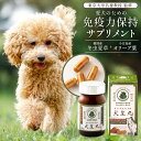 犬用 サプリメント 犬皇丸 90粒 