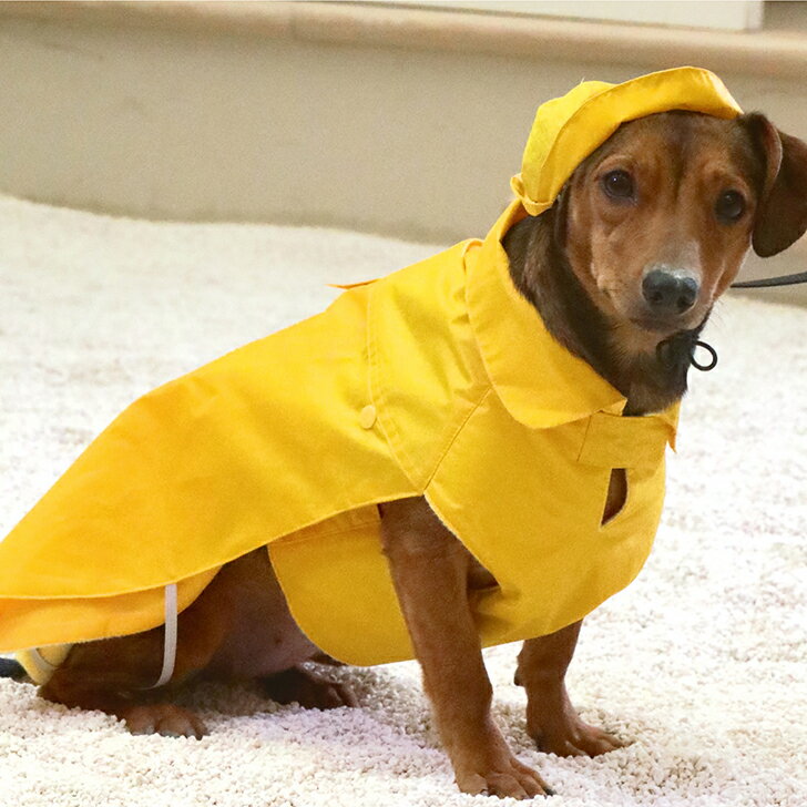 【犬服 ダックス用 54cm】ペット ダックスフンド 裏ボア 防水 レインコートイタリアペット用品メーカーCROCIPADDED JACKET DACHSHUND YELLOW 【犬服 ダックス用 54cm】ペット ダックスフンド 裏ボア 防水 レインコートイタリアペット用品メーカーCROCIPADDED JACKET DACHSHUND YELLOW