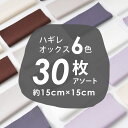 【送料無料】＼1,000円ポッキリ／ ハギレ 無地オックス30枚アソート 約15cm×15cm 生地 オックス 30枚 まとめ買い はぎれ まとめ セット カットクロス セット 1000円 1000 1,000円 ポッキリ パッチワーク 工作 綿 コットン 小さめ 原ウール 送料無料 2