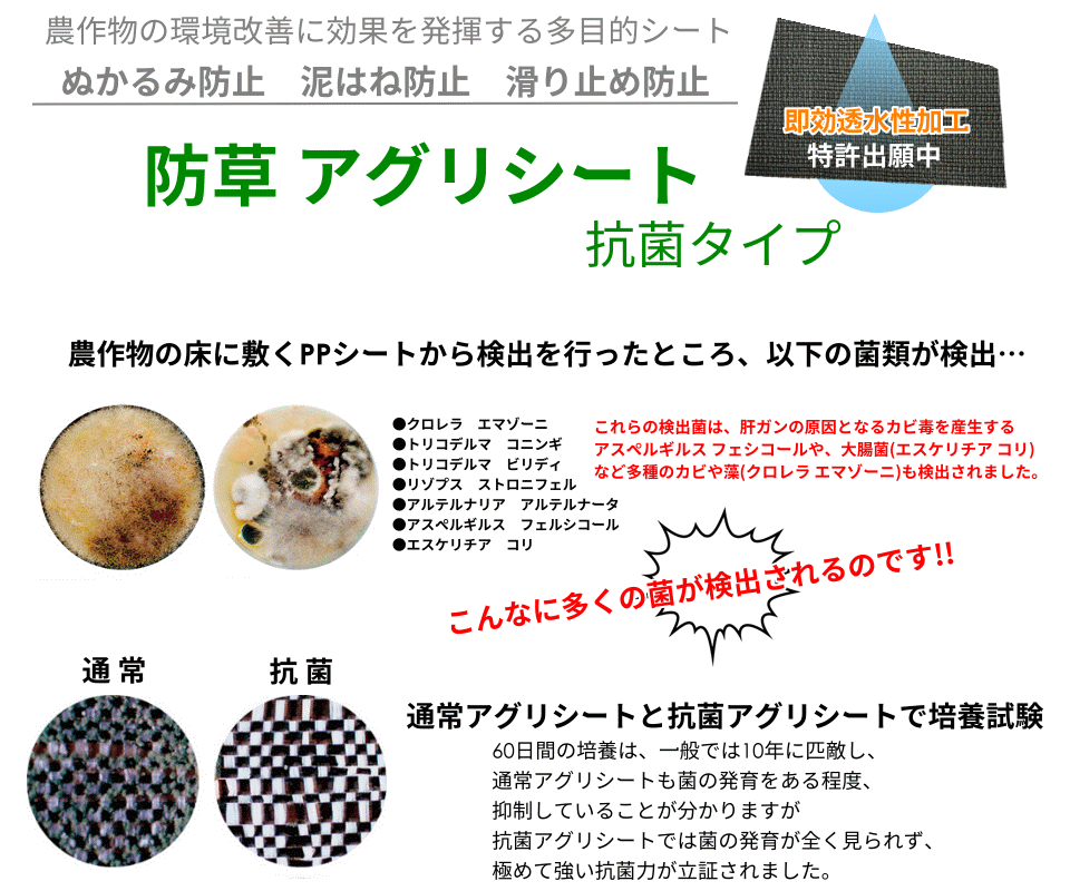 防草シート 抗菌タイプ すべりにくい 1×100m アグリシート日本ワイドクロス (BK151...