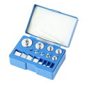 【送料無料】M2級 校正分銅 分銅セット 17点入り 校正 100g 10g 20g 50g 1g 2g 5g おもり 秤用 クロムメッキグラムスケール ピンセット付 力学実験 科学 化学 その1