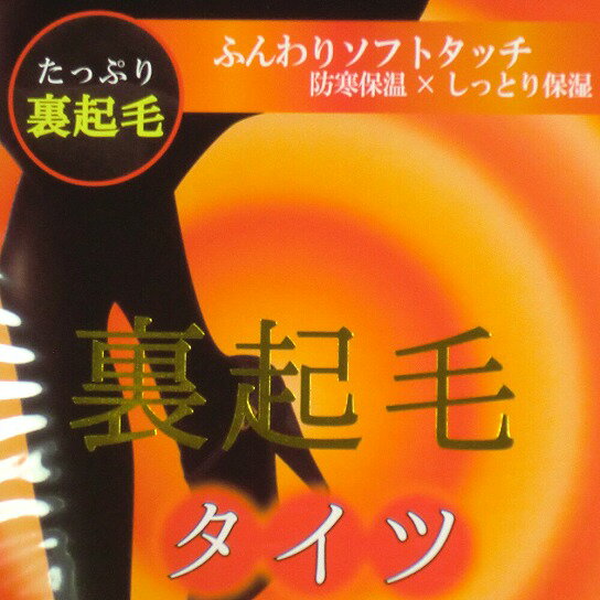 【送料無料】婦人タイツ 160デニール裏起毛タイツ＆レギンス レディース裏起毛タイツ【ポッキリ】ふんわりとソフトな肌触りで暖かい 比較的ゆったりと暖かくご使用いただけます。秋冬 防寒 防寒対策 暖かい あたたかい あったかい 大きめ 大きいサイズ(2枚あると便利です)