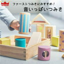 エドインター 音いっぱいつみき 安全 木のおもちゃ 積み木 音の出るおもちゃ 音の鳴る積み木 木製 赤ちゃん 知育 ギフト ラッピング 内祝い 出産祝い 誕生...