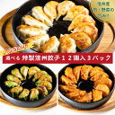 【 〈 冷凍 〉 バガボンド 特製信州餃子 12個入選べる3パック 】 送料無料 贈答用 自宅用 贈り物 ギフト 長野 信州産 肉 豚肉 野菜 餃子