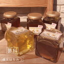 【 縄文 はちみつ 蓼科 3個 セット ( アカシア ・ 栗 ・ 蕎麦 ) 】 送料無料 蜂蜜 ハチミツ ハニー