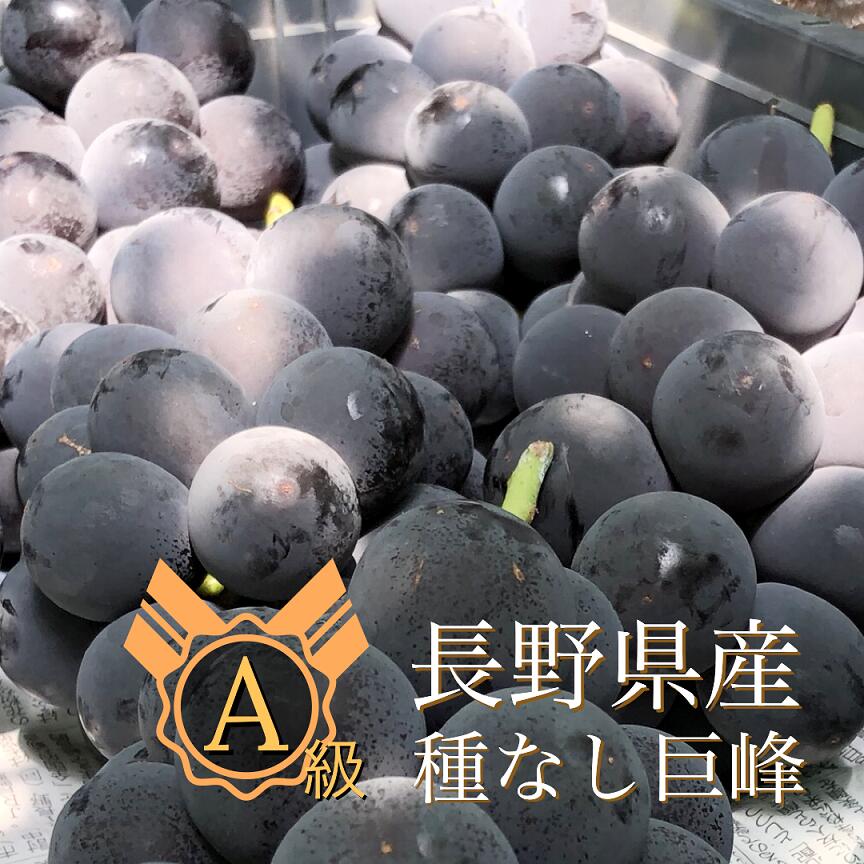 種なし 巨峰 2kg（4〜5房） 産地直送 送料無料ぶどう ブドウ 葡萄 グレープス・グレープス grapes grapes 家庭用 自宅用 ギフト 長野 信州 東御のサムネイル