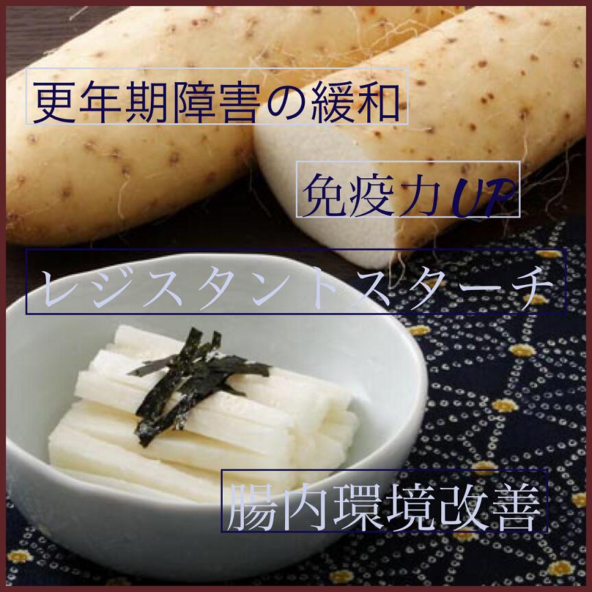 【信州松代特産長芋】贈答用/家庭用