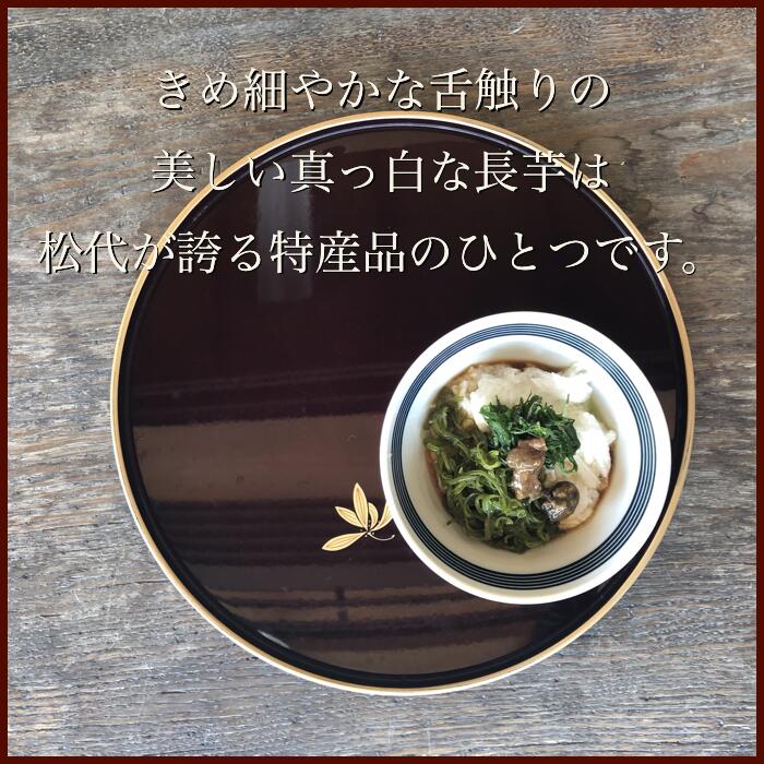 【信州松代特産長芋】贈答用/家庭用