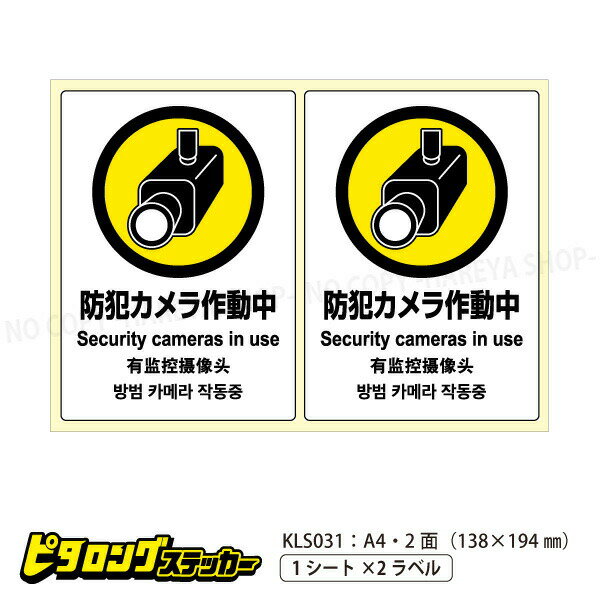 ピタロングステッカー 防犯カメラ A4・2面 138×194mm 油のついた面 ザラザラした面にも貼れるシール ヒ..