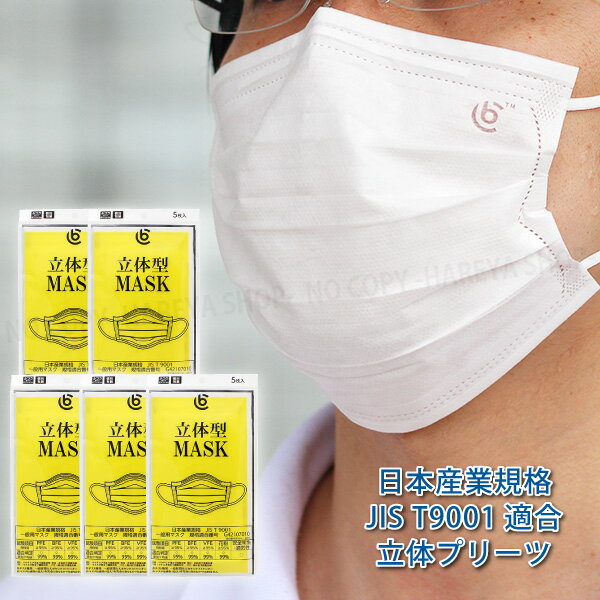 立体型マスク【JIS規格】 1袋5枚入 ふつうサイズ 5袋25枚【メール便送料無料!】 同梱不可・日時指定不可 マスクケース1袋に1枚付属 1枚ずつ個別包装で衛生的 不織布 一般用マスク JIS T9001適合審査合格品