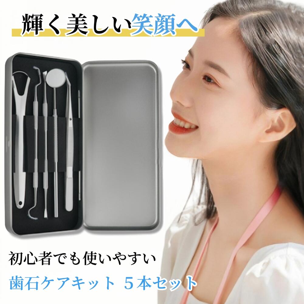 歯石ケアキット 5本セット 【ハレゾラTBP公式店】 歯石取り ステンレス鋼製 歯クリーナ 舌クリーナー 歯間クリーナー 携帯式 口腔洗浄機 クリーニングキット...