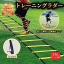 トレーニングラダー 5m (10枚) 【ハレゾラTBP公式店】 ラダー 野球 サッカー 収納袋付き スピードラダー 瞬発力 敏捷性 陸上競技 小学生 子供 キッズ 初心者 軽量 持ち運びやすい 野球練習用品 バスケットボール 調節可能 男女兼用 収納袋付き▶︎