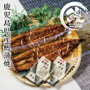 お中元2025 鹿児島産 鰻蒲焼2尾セット51-32029 お取り寄せグルメ 海産 ギフト ご贈答 自宅用 プレゼント 人気 ランキング お誕生日 国産養殖鰻の...