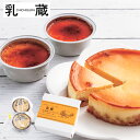 メーカー直送 「乳蔵」北海道ベイクドチーズケーキ・あいすプリン SE5-248-2 人気商品 ギフト 洋菓子 お中元 プレゼント お取り寄せ 有名店 七五三 濃...