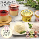お中元2025 「乳蔵」北海道アイスクリーム&木苺プリン51-21043 ギフト ご贈答 お取り寄せ プレゼント 人気 ランキング 御中元 内祝 御礼 お誕生日...