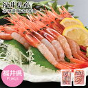 お中元2025 福井県産 冷凍甘海老500g 51-23020 お取り寄せグルメ ギフト ご贈答 自宅用 プレゼント 人気 ランキング お誕生日 御礼 酸化防止...