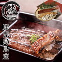お中元2025 鹿児島県産鰻蒲焼大1尾白焼1尾セット 51-32010 お取り寄せグルメ ギフト ご贈答 自宅用 プレゼント 人気 ランキング 御中元 お誕生日...