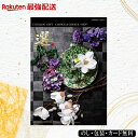 【最強配送】ハリカ×千趣会コラボ カタログギフト(カポックコース) 出産祝 出産内祝い 内祝い 引き出物 香典返し 結婚祝い 引出物 入学内祝い ギフト 引越し...