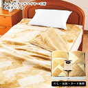 ムートンタッチマイヤー毛布&敷パット AM5-172-4 人気商品 内祝 結婚祝い お歳暮 父の日 香典返し 敬老の日 七五三 孫 両親 自宅 プレゼント 御礼...