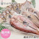 お中元2025 越前汐の薫り 51-23011 お取り寄せグルメ ギフト ご贈答 自宅用 プレゼント 人気 ランキング お誕生日 御礼 日本海沖で獲れる新鮮な魚...