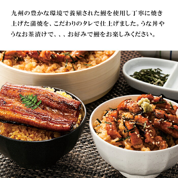お中元2025 九州産鰻のうなぎ三昧 51-33041 お取り寄せグルメ 海産 ギフト ご贈答 自宅用 プレゼント 人気 ランキング ギフト お誕生日 お取り寄せ 九州の豊かな環境で養殖された鰻を使用し丁寧に焼き上げた蒲焼