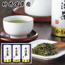 宇治茶「健康応援茶」 SE5-312-4 内祝 快気祝い 結婚祝い お歳暮 父の日 香典返し 敬老の日 七五三 孫 両親 自宅 応援 プレゼント 御礼 成人式 引越し お盆 お誕生日 お世話になったあの方の「健康を応援する気持ち」をこのお茶に託して