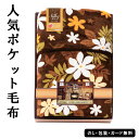 足元あったかポケット毛布 AM5-148-1 人気商品 内祝 結婚祝い お歳暮 父の日 香典返し 敬老の日 七五三 孫 両親 自宅 御礼 成人式 御年賀 応援 プレゼント お誕生日 送料無料 ギフト父の日母の日