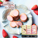 あまおう苺ラングドシャ AM5-63-2 人気商品 内祝 結婚祝い お歳暮 父の日 香典返し 敬老の日 七五三 孫 両親 自宅 プレゼント 御礼 成人式 御年賀 応援 プレゼント お誕生日 あまおう苺&ショコラ あまおう苺&ホワイトショコラ