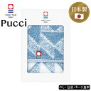今治タオルハンカチ PUCCI SE5-120-11 内祝 快気祝い 結婚祝い 父の日 敬老の日 七五三 孫 両親 自宅 プレゼント 御礼 お誕生日 父の日母の...
